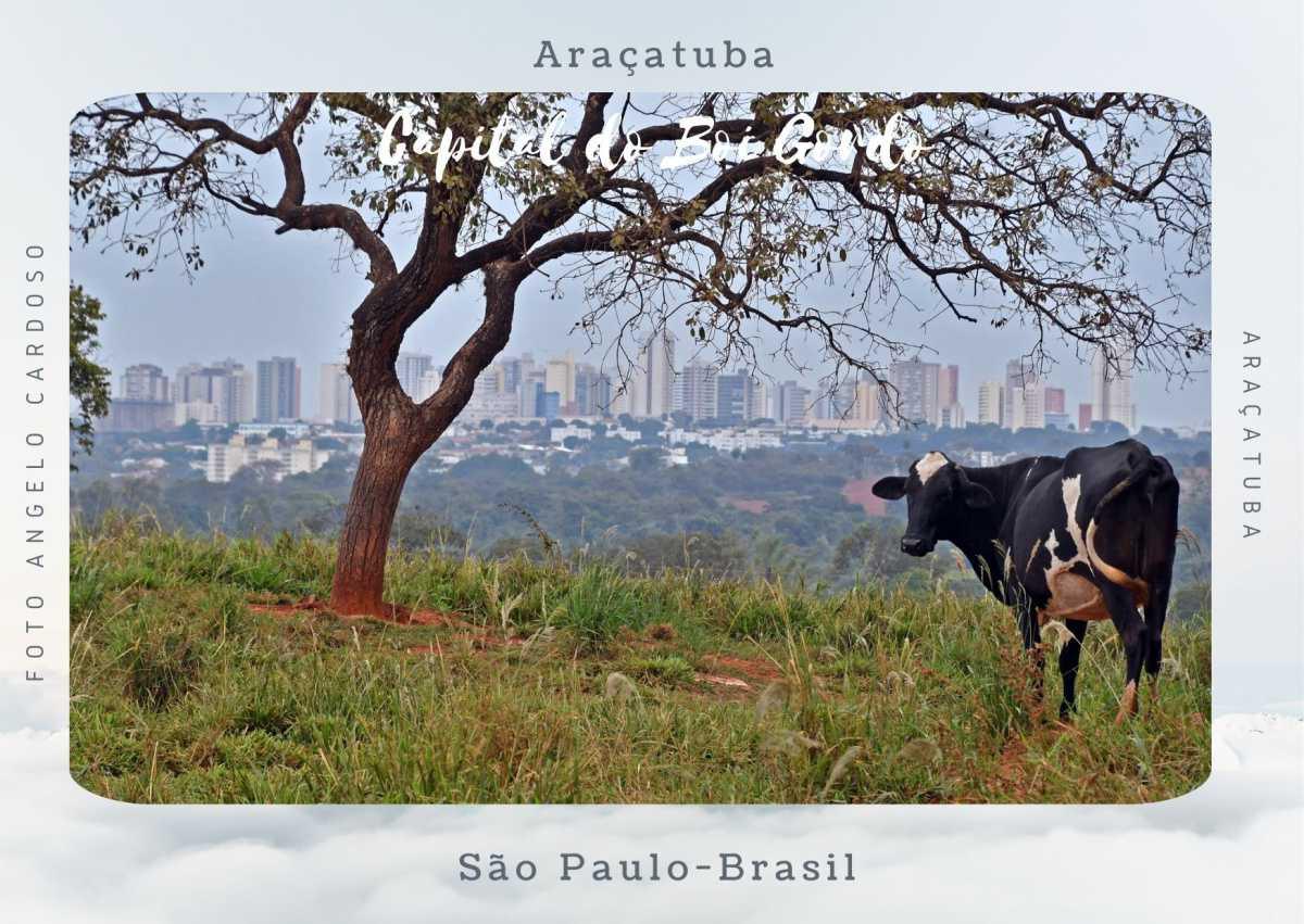  Em Breve Coleção Postal "Encantos" Araçatuba 