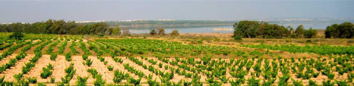 Parque natural das Lagunas de La Mata y Torrevieja