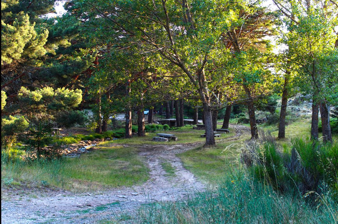 Area Recreativa La Panera