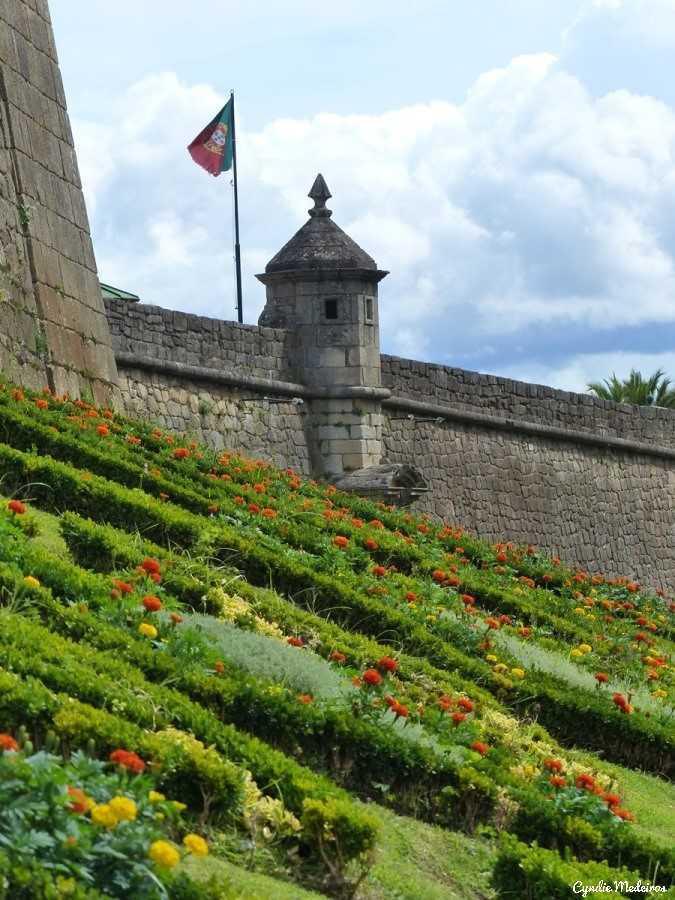 Forte de São Francisco Forte de São Francisco