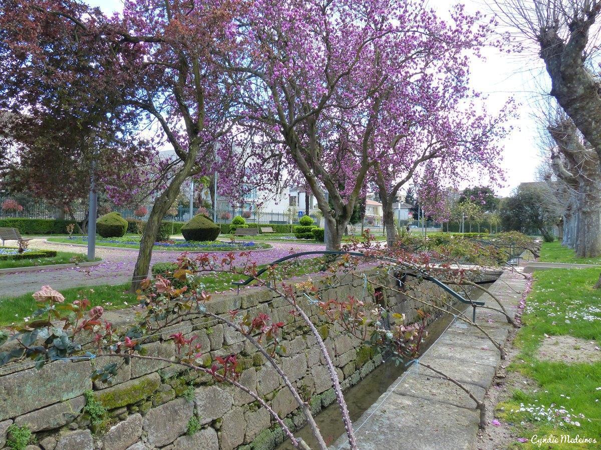 Jardim Público de Chaves Jardim Público de Chaves