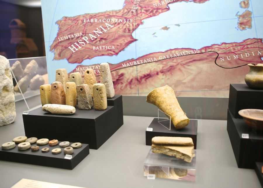 Museu da Região Flaviense Museu da Região Flaviense