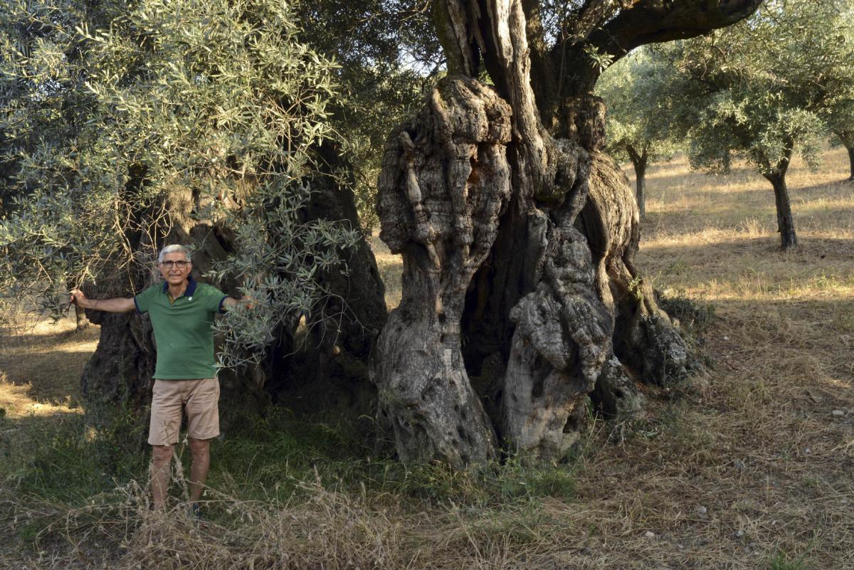 I libri di Antonio Maffei