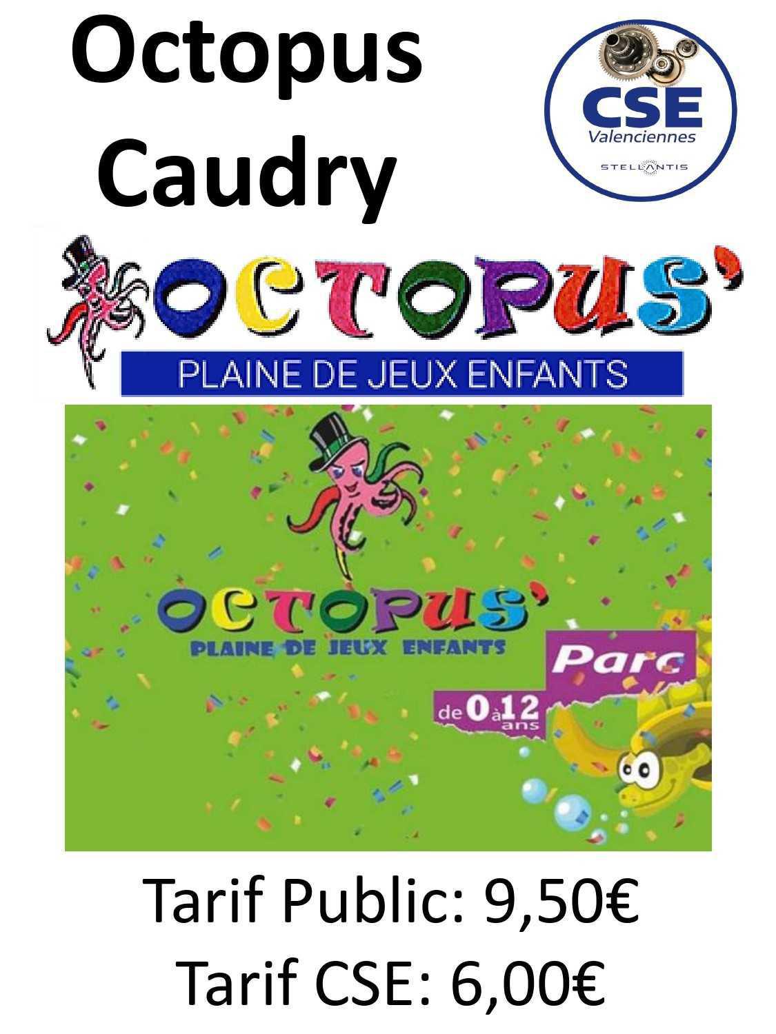 TARIFS 2026 : PARCS DE JEU POUR ENFANTS 