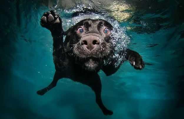 TARIFS PISCINES