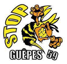 STOP GUEPE