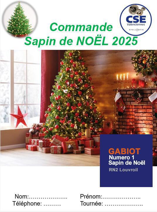 Sapin de Noël 2025