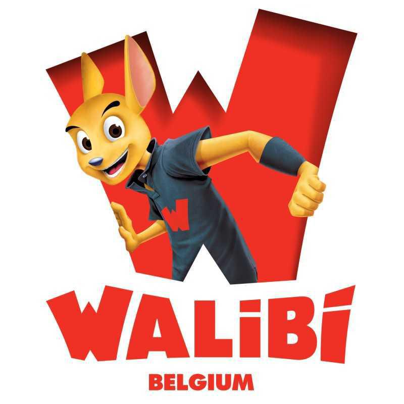 Billetterie Walibi Belgique noël 2025