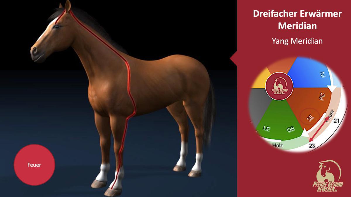 Der Dreifacher-Erwärmer Meridian