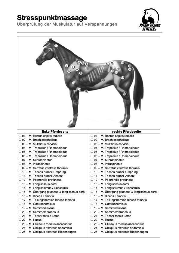 Alle Stresspunkte in der Übersicht Alle Stresspunkte in der Übersicht
