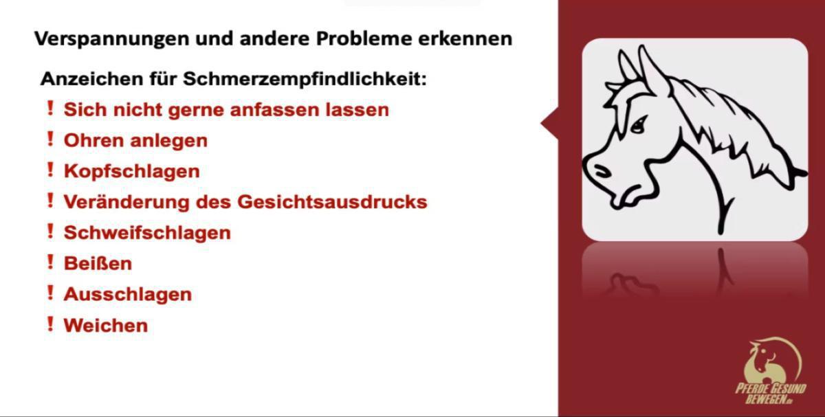 Anzeichen für Schmerzempfindlichkeit