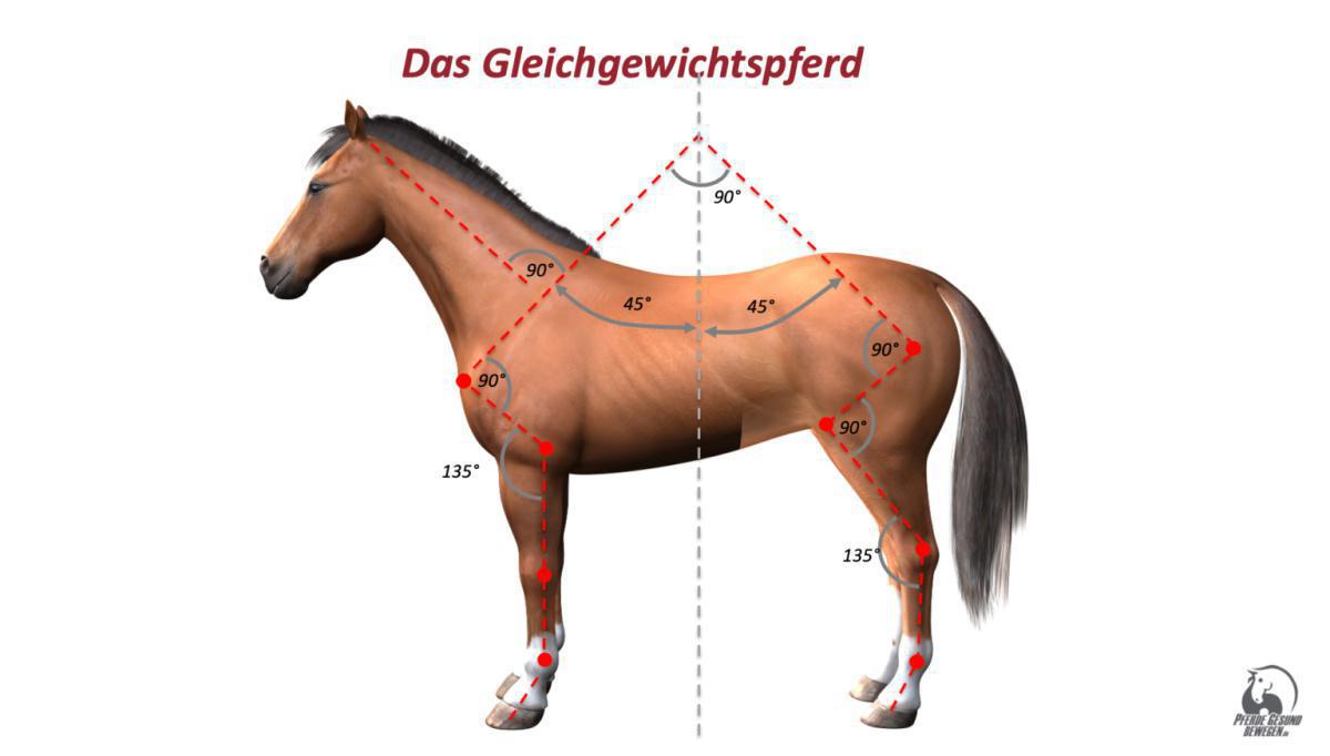 Das Gleichgewichtspferd Das Gleichgewichtspferd
