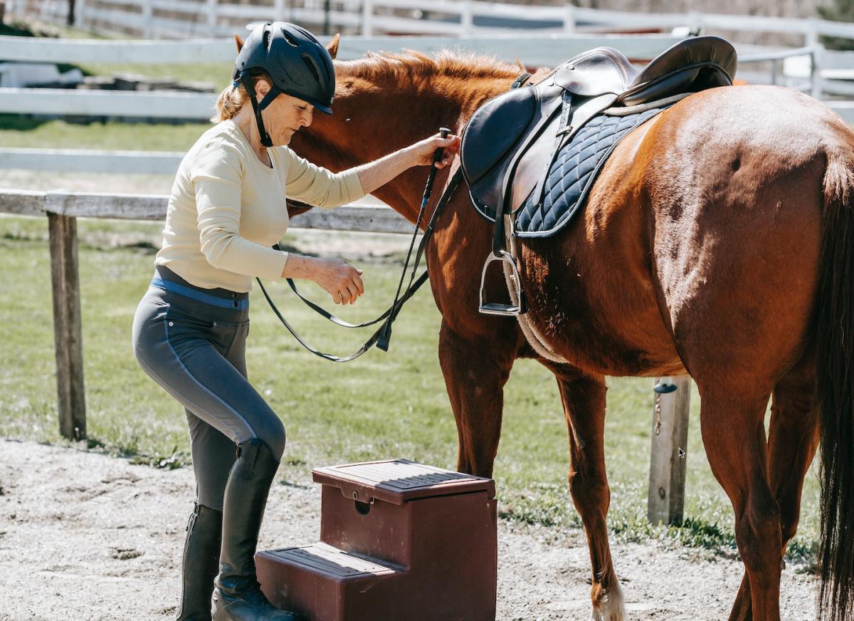 Der Röhrbeinindex - Was kann mein Pferd tragen