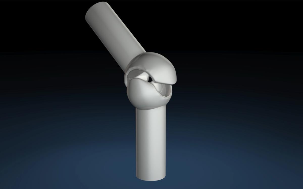 Das Sattelgelenk Das Sattelgelenk