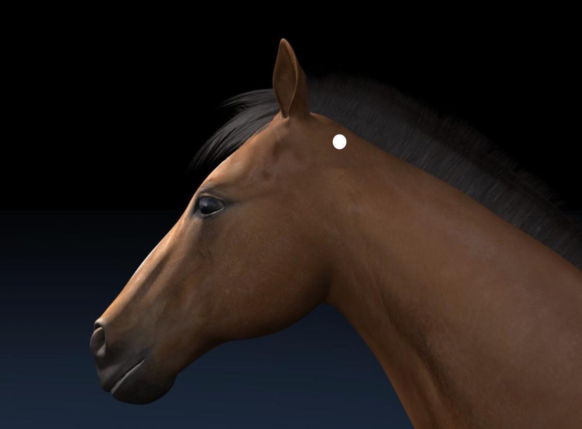 Blase 10 (BL10) Blase 10 (BL10)