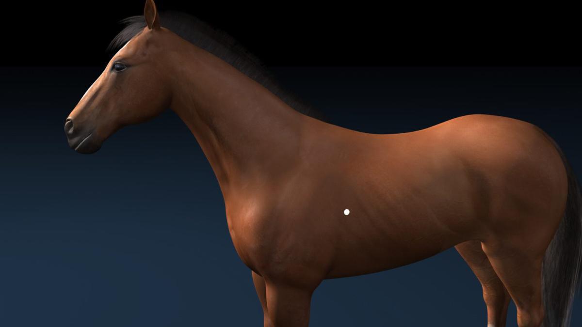 Milz-Pankreas 21 (MP21) Milz-Pankreas 21 (MP21)