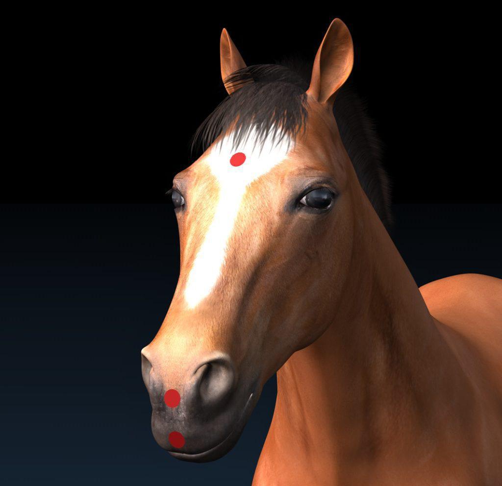 Konzeptionsgefäß 24