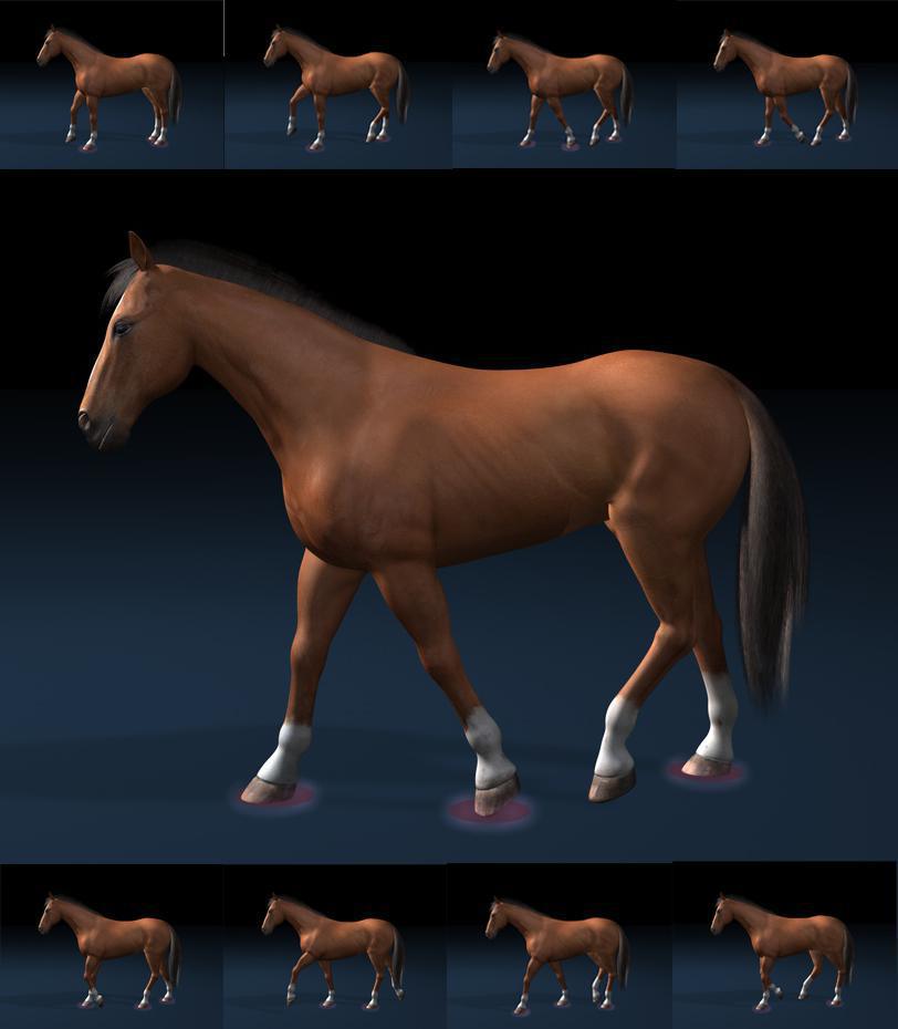 Warum Pferde im Schritt mit dem Kopf nicken