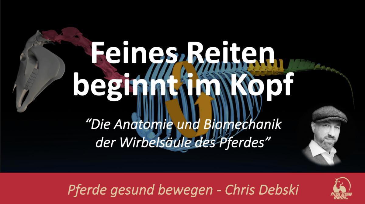 Die Anatomie und Biomechanik der Wirbelsäule des Pferdes (kostenloses Webinar) Die Anatomie und Biomechanik der Wirbelsäule des Pferdes (kostenloses Webinar)
