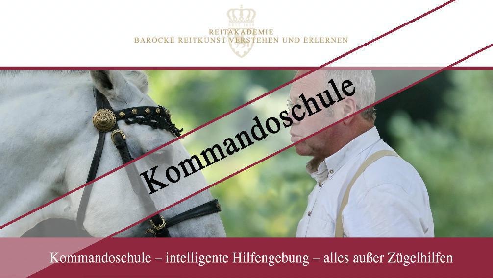 Intelligente Stimmhilfen fürs Reiten und die Arbeit an der Hand (kostenloses Webinar)