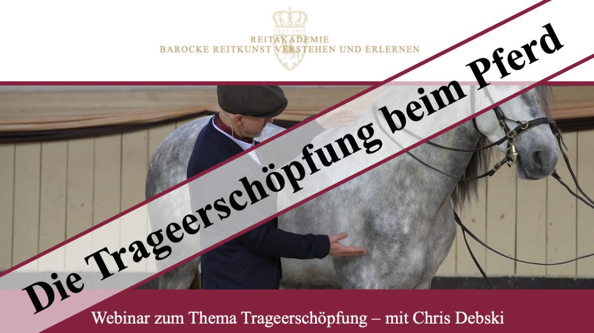 Woher kommt die Trageerschöpfung beim Pferd (kostenloses Webinar)