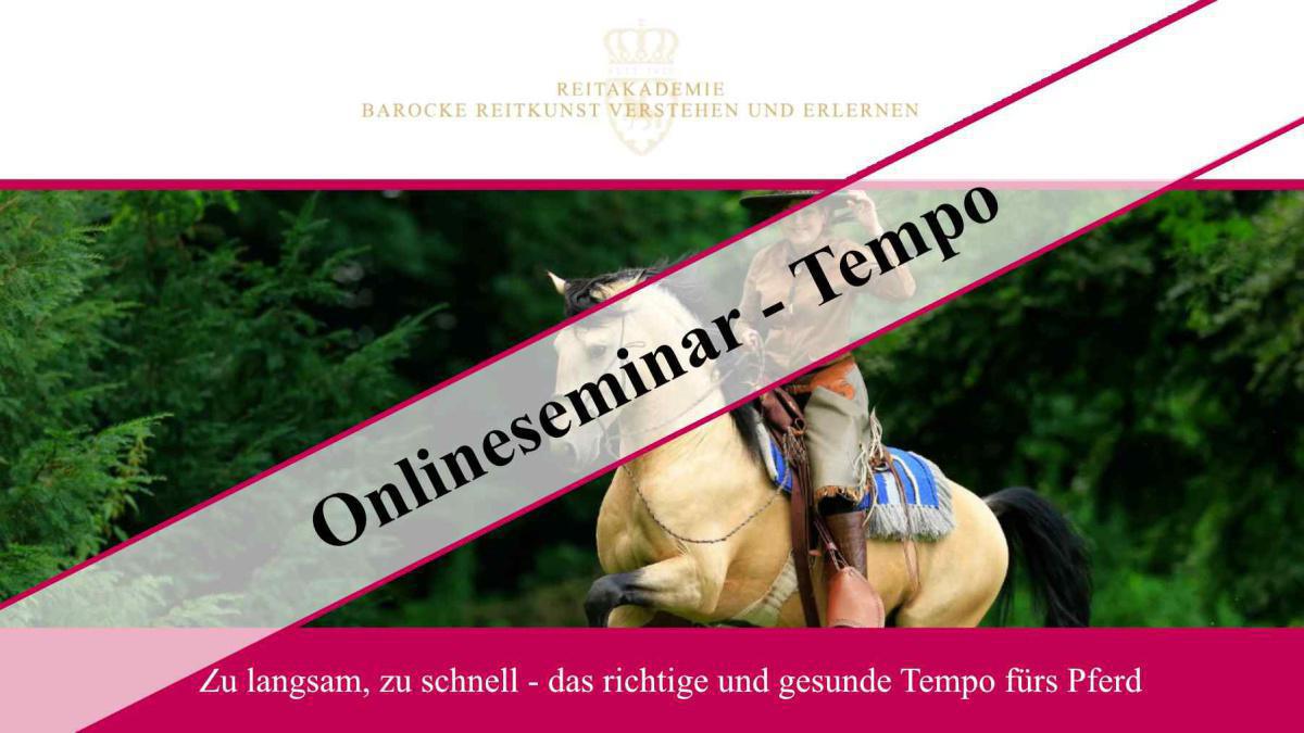 Tempo - zu langsam, zu schnell - das richtige und gesunde Tempo fürs Pferd (kostenloses Webinar) 