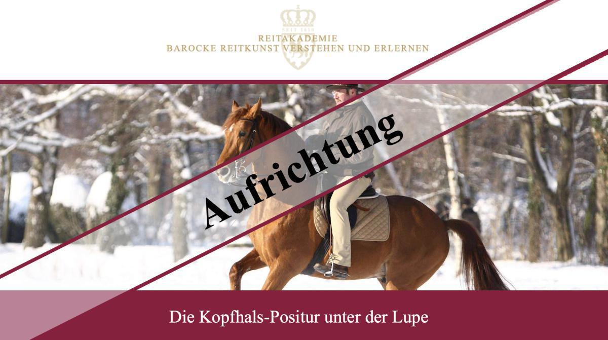 Aufrichtung - Die Kopfhalspositur unter der Lupe (kostenloses Webinar)
