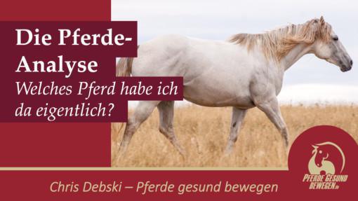 Onlinekurs Grundlagen der Pferdeanalyse Onlinekurs Grundlagen der Pferdeanalyse