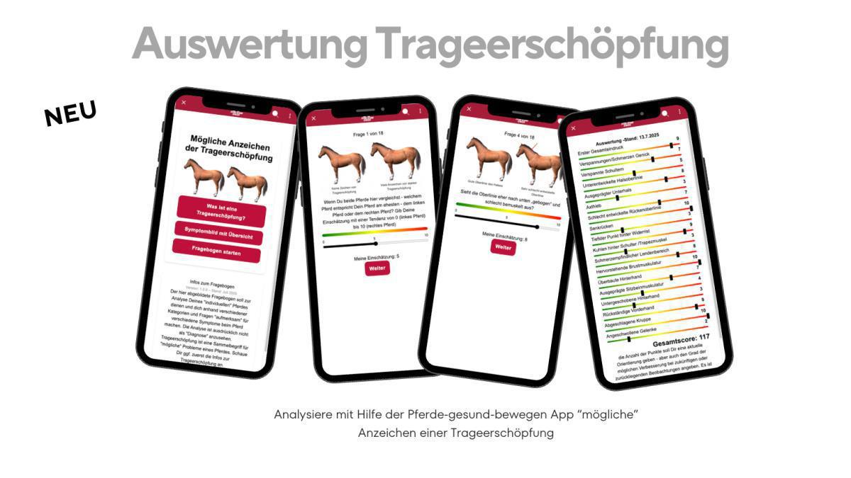 NEU - Analysiere die Anzeichen möglicher Trageerschöpfung NEU - Analysiere die Anzeichen möglicher Trageerschöpfung