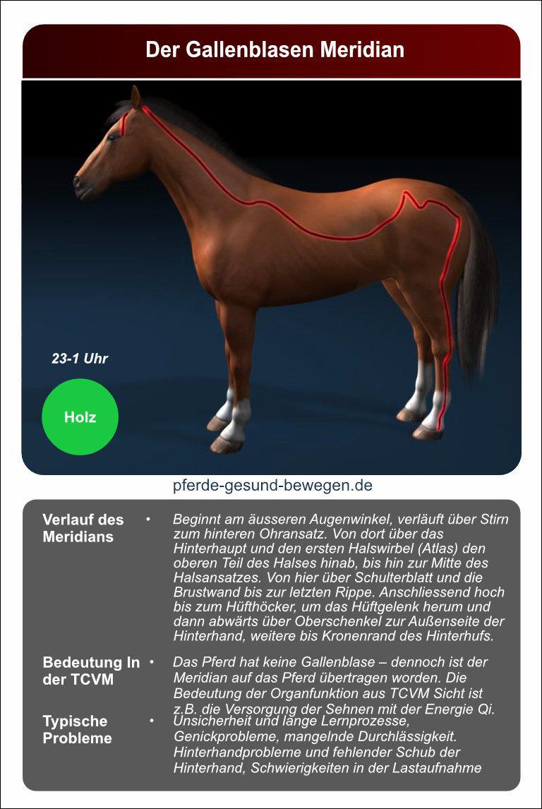 Lernkarten_akupressur_11
