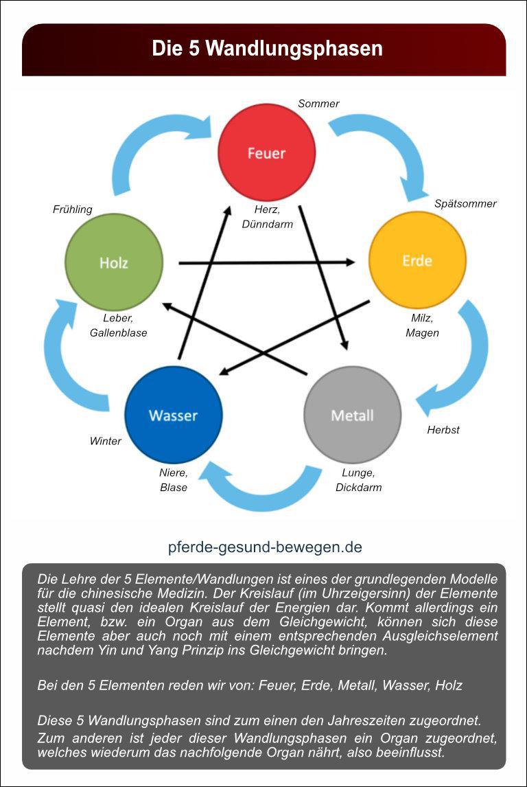 Lernkarten_akupressur_17