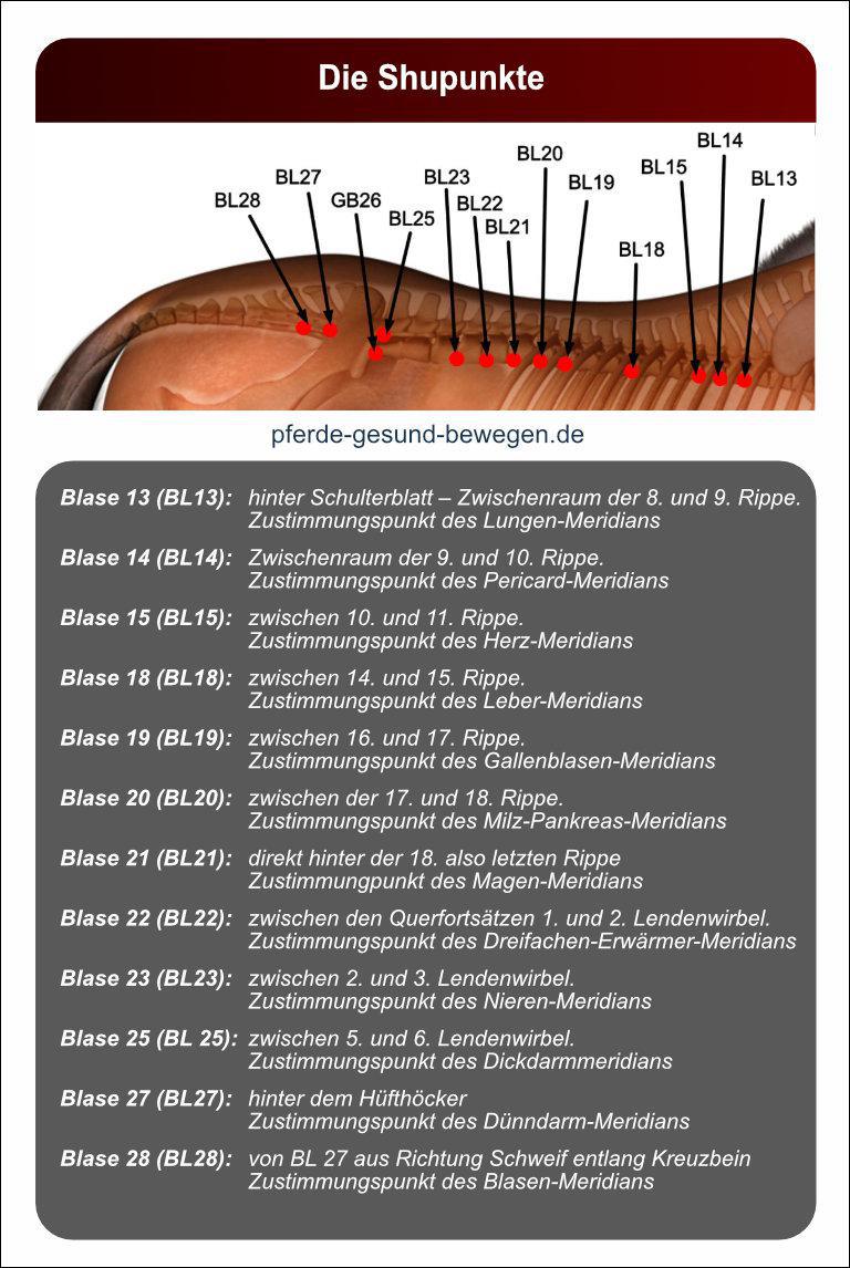 Lernkarten_akupressur_18
