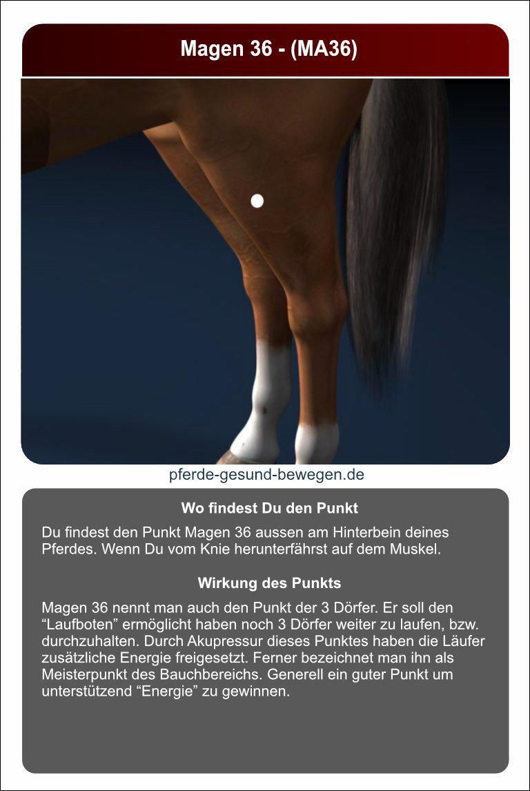 Lernkarten_akupressur_20