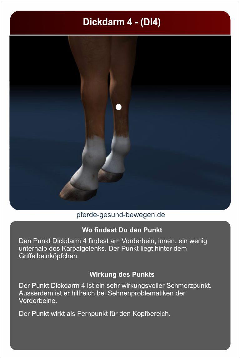 Lernkarten_akupressur_22