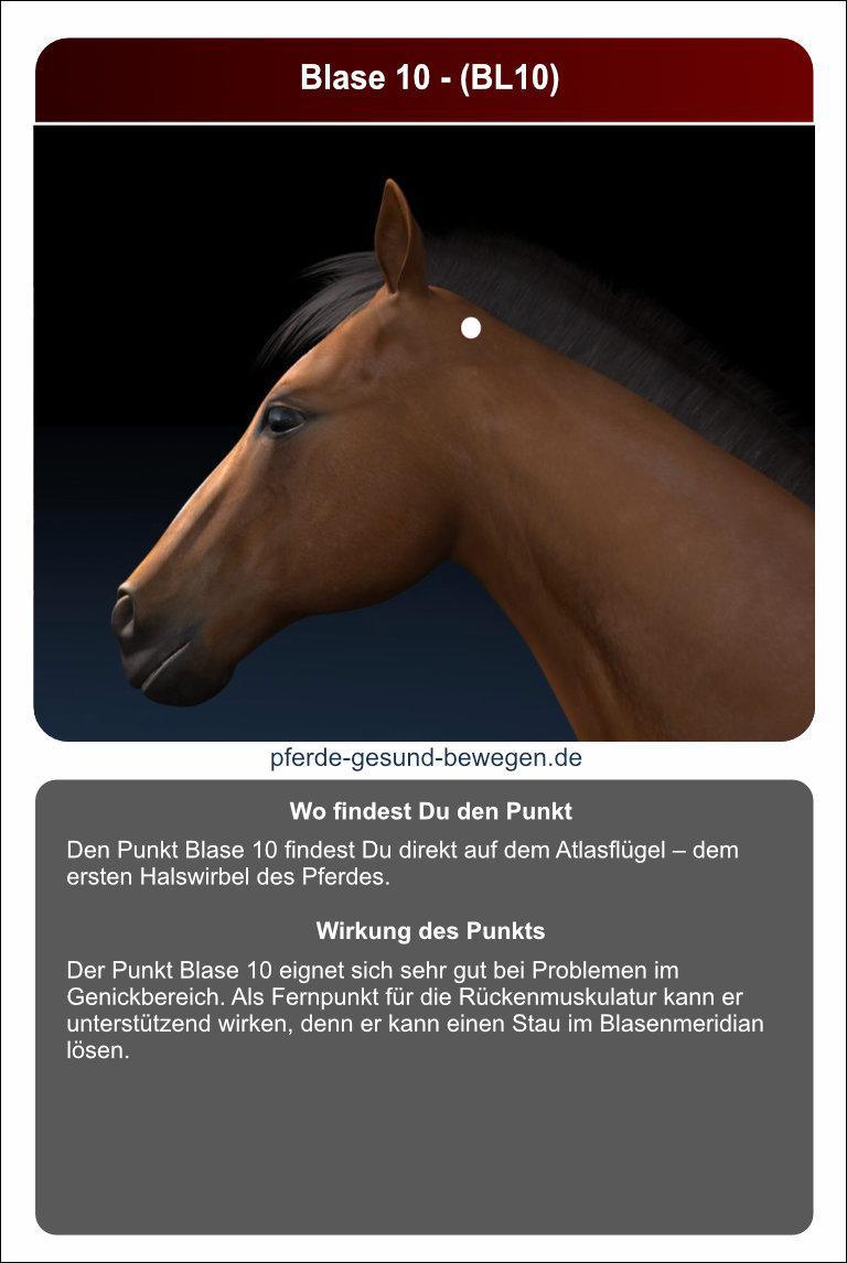 Lernkarten_akupressur_23