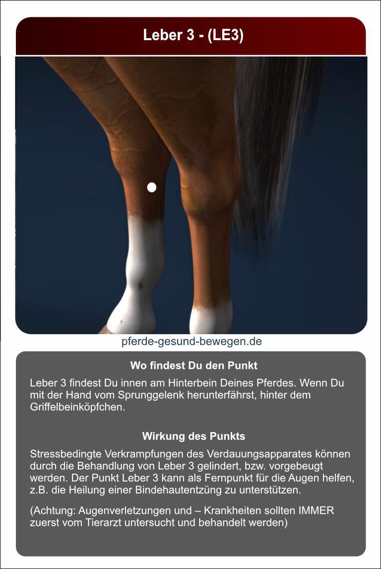 Lernkarten_akupressur_24