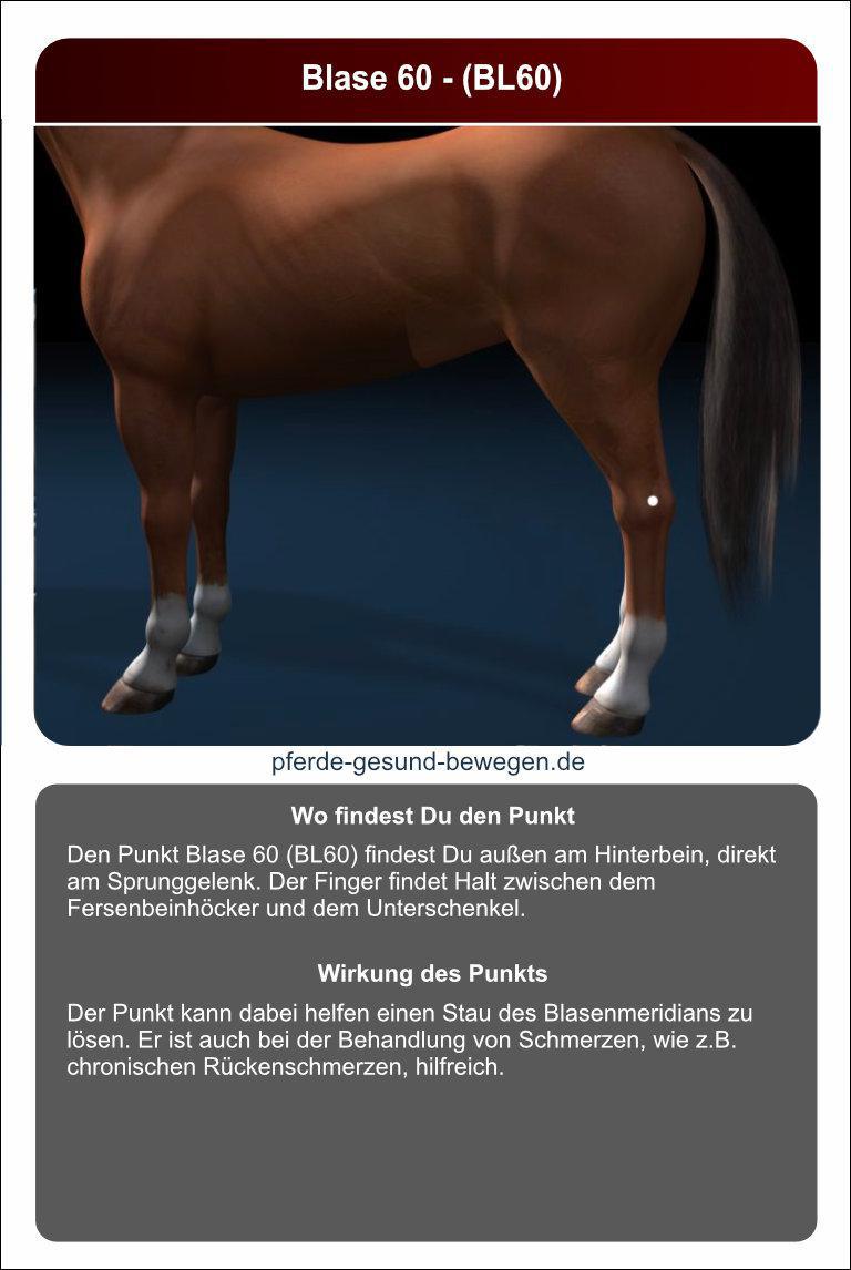 Lernkarten_akupressur_29