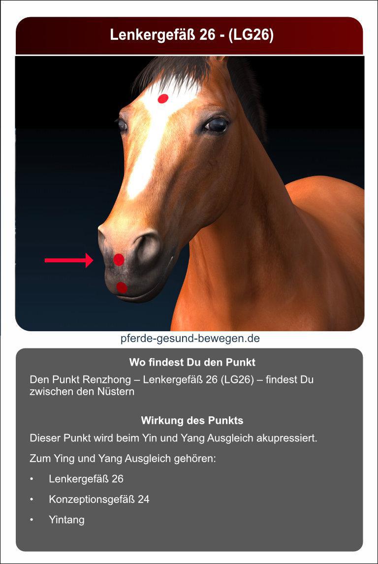 Lernkarten_akupressur_32