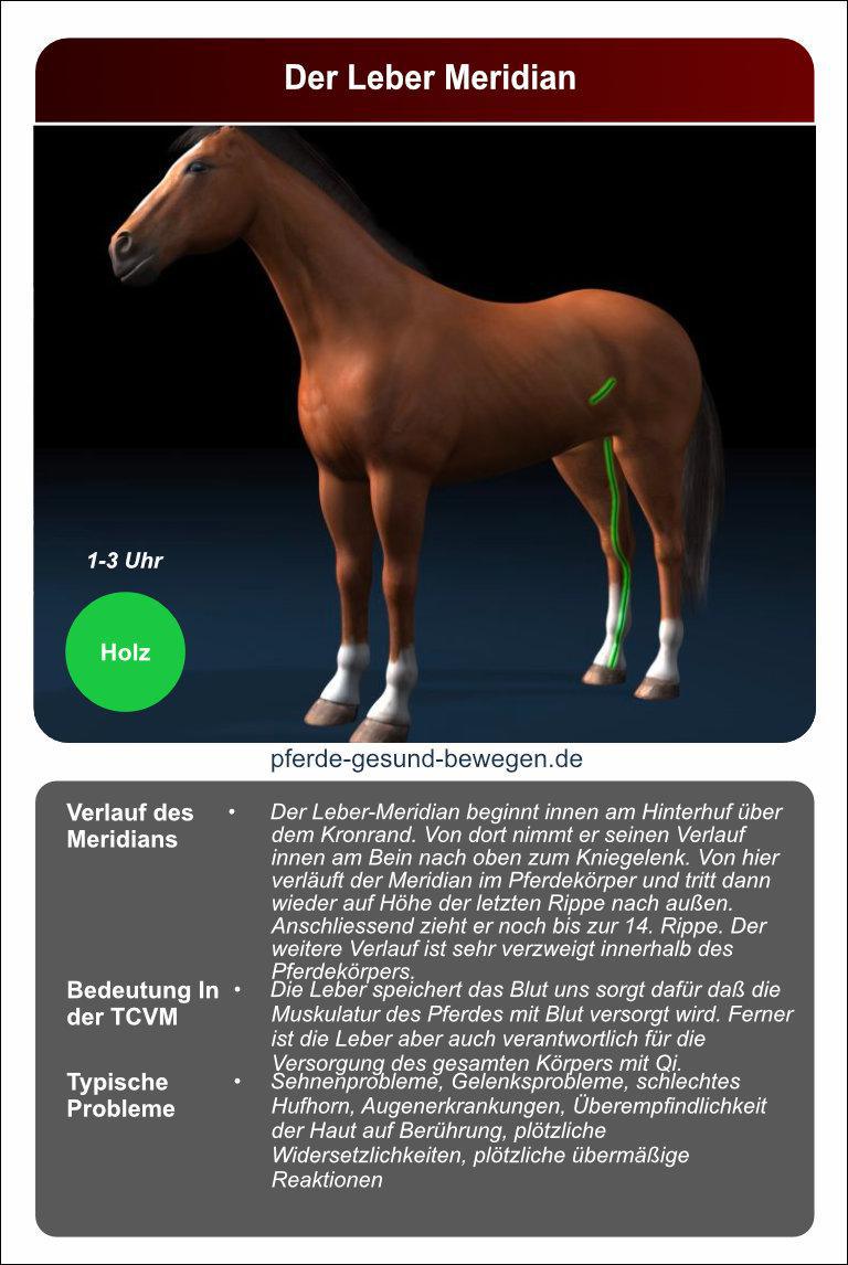 Lernkarten_akupressur_12