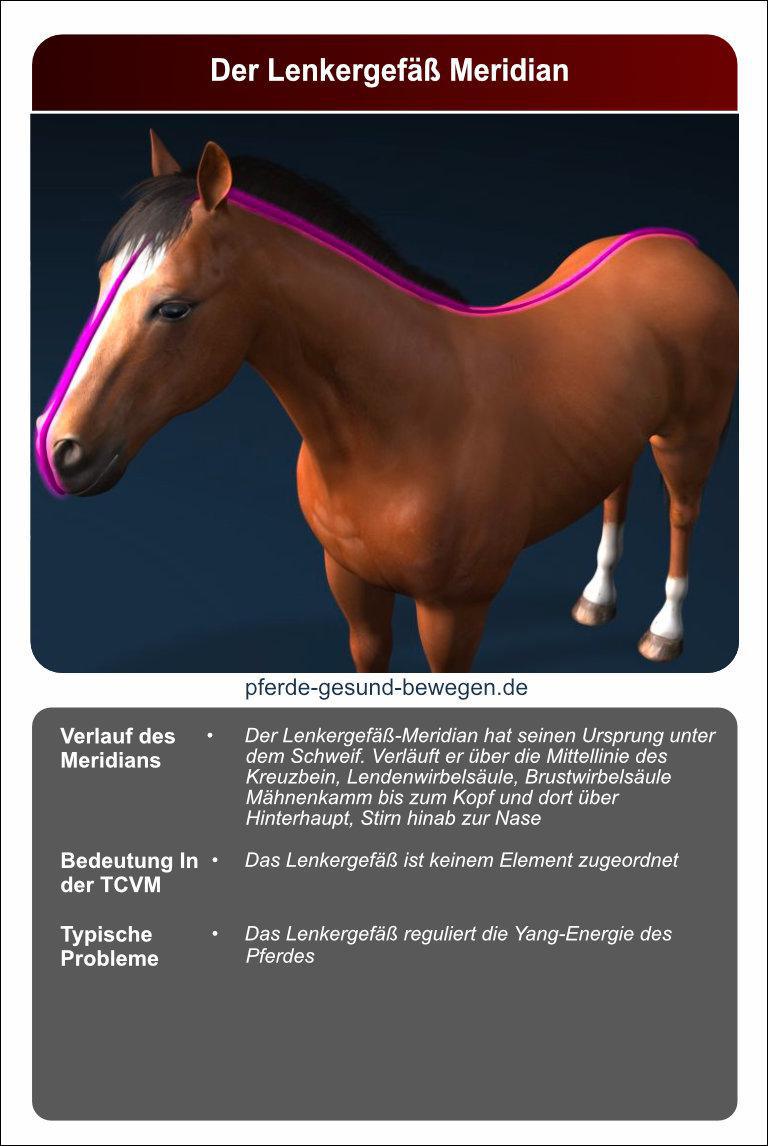 Lernkarten_akupressur_13