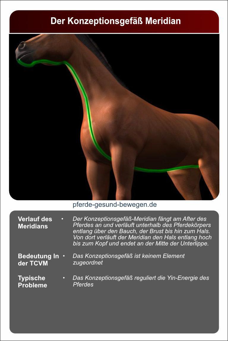 Lernkarten_akupressur_14