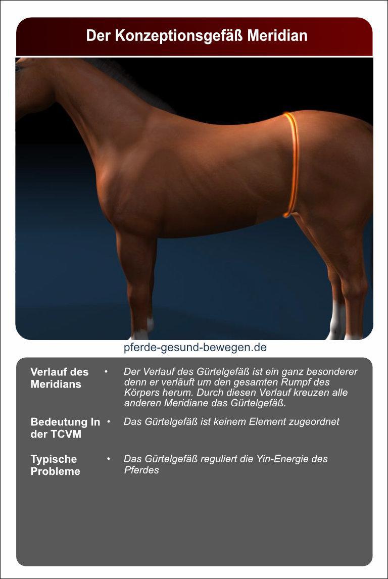 Lernkarten_akupressur_15