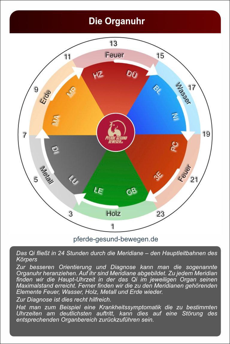 Lernkarten_akupressur_16