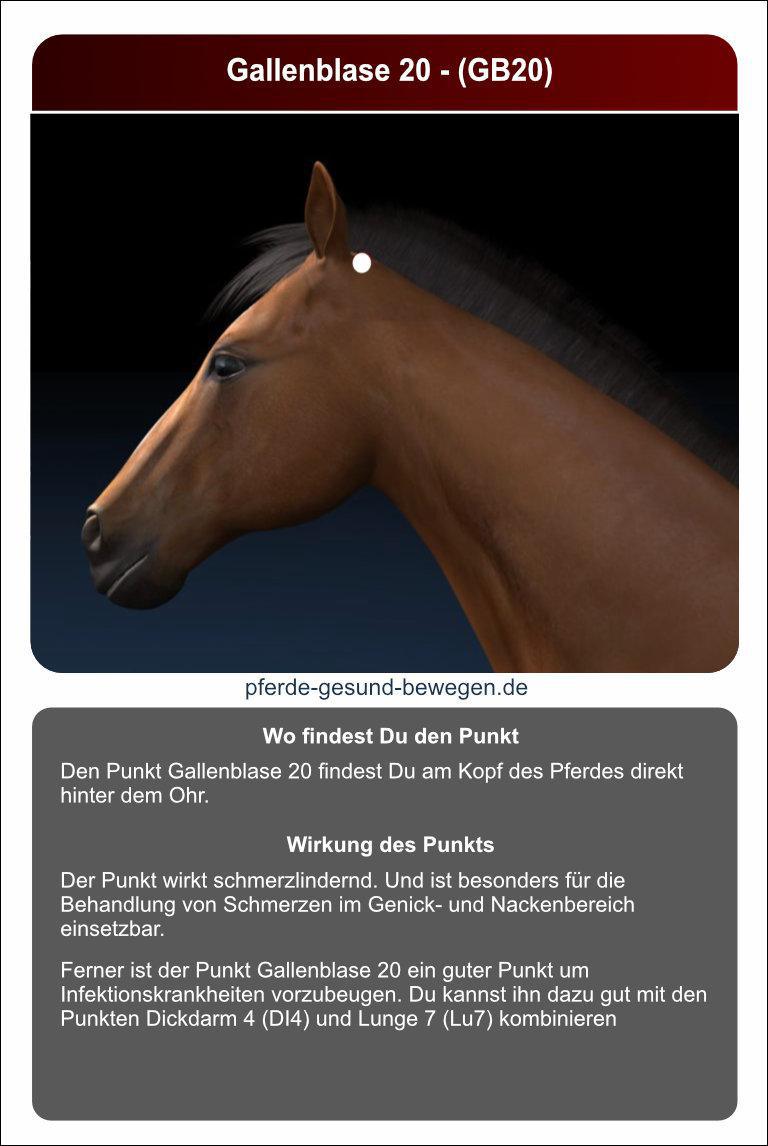 Lernkarten_akupressur_21