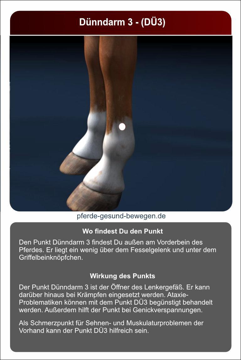 Lernkarten_akupressur_26