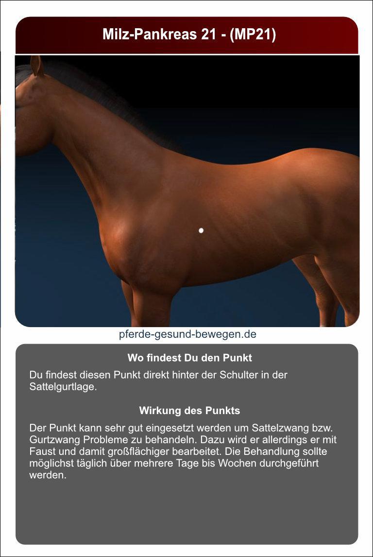 Lernkarten_akupressur_28