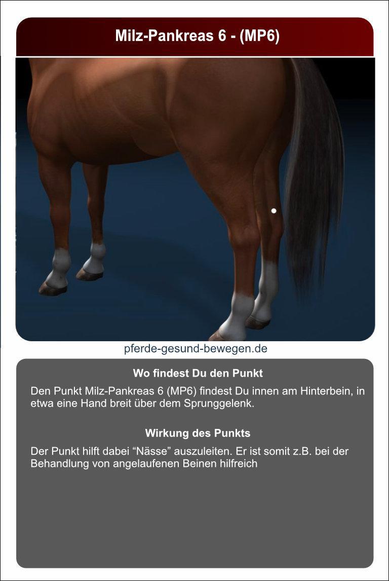 Lernkarten_akupressur_30