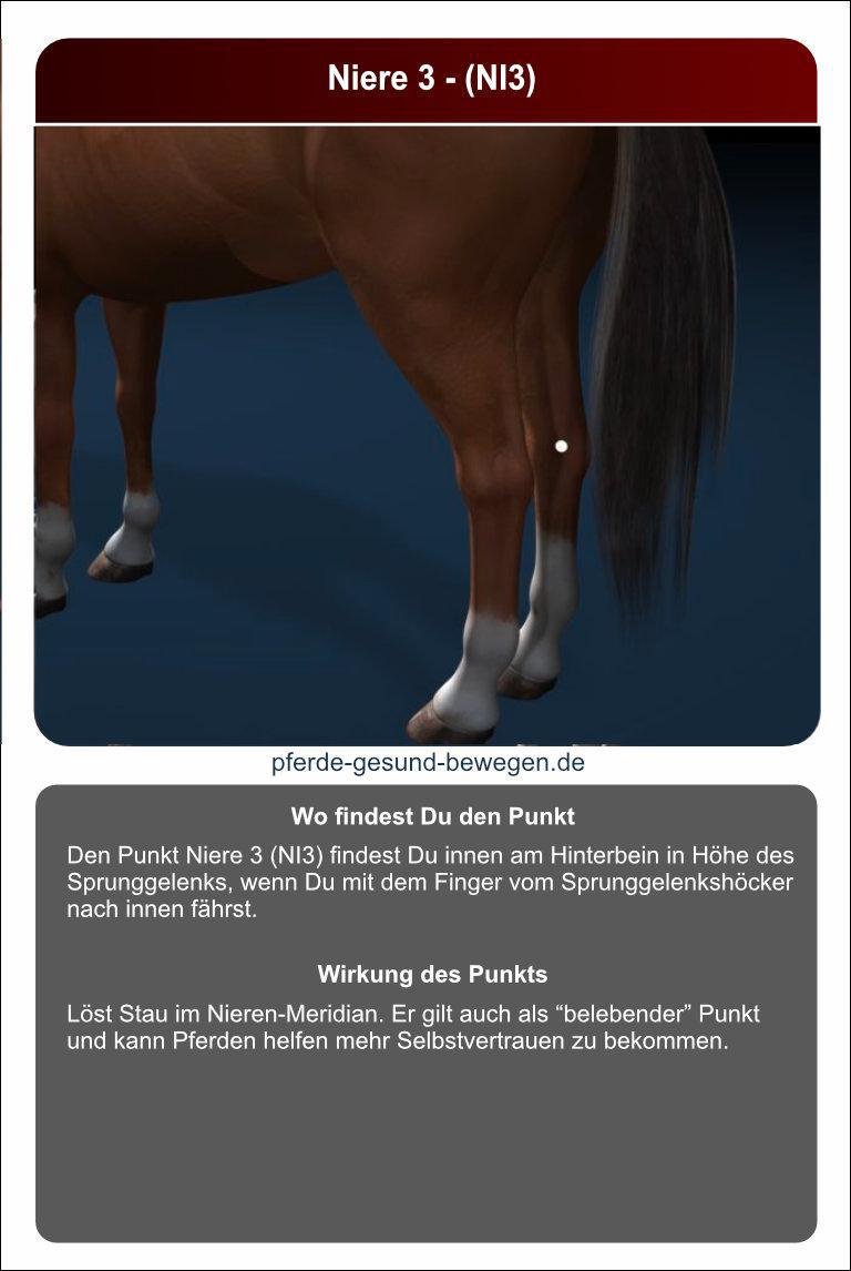 Lernkarten_akupressur_31