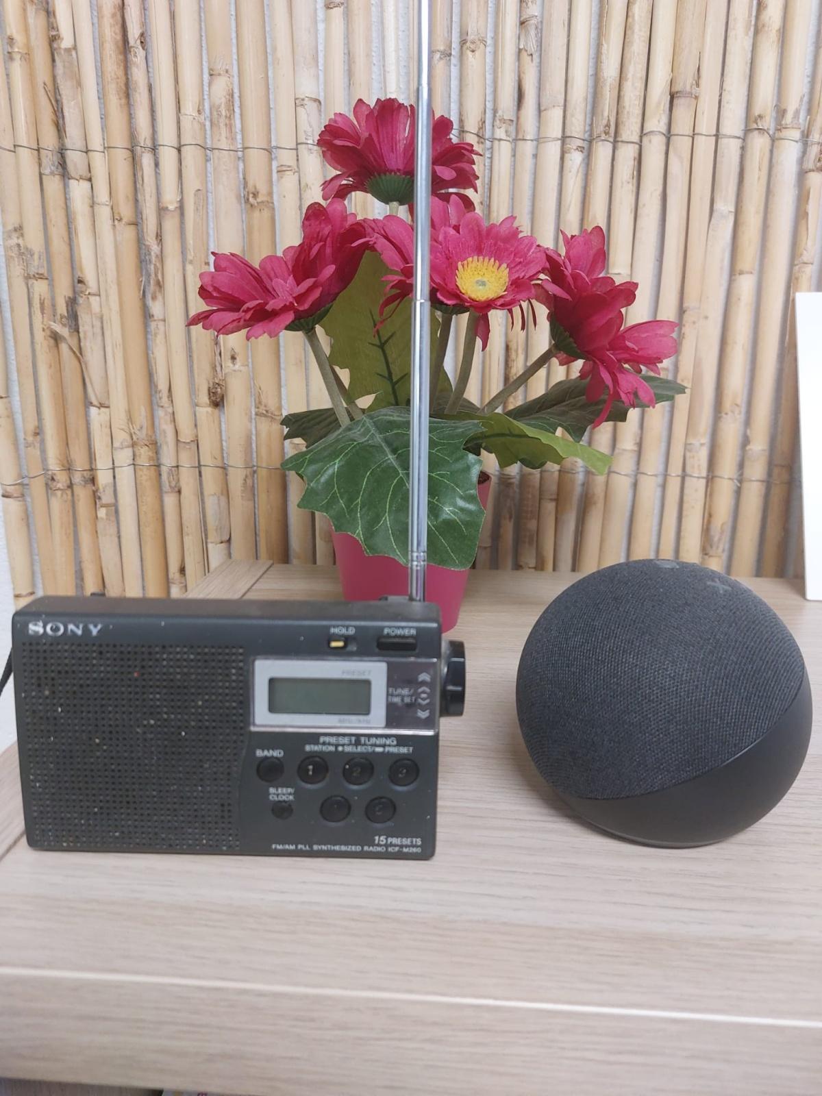 ¡Celebramos el Día Mundial de la Radio: de las ondas hertzianas a la era digital! ¡Celebramos el Día Mundial de la Radio: de las ondas hertzianas a la era digital!