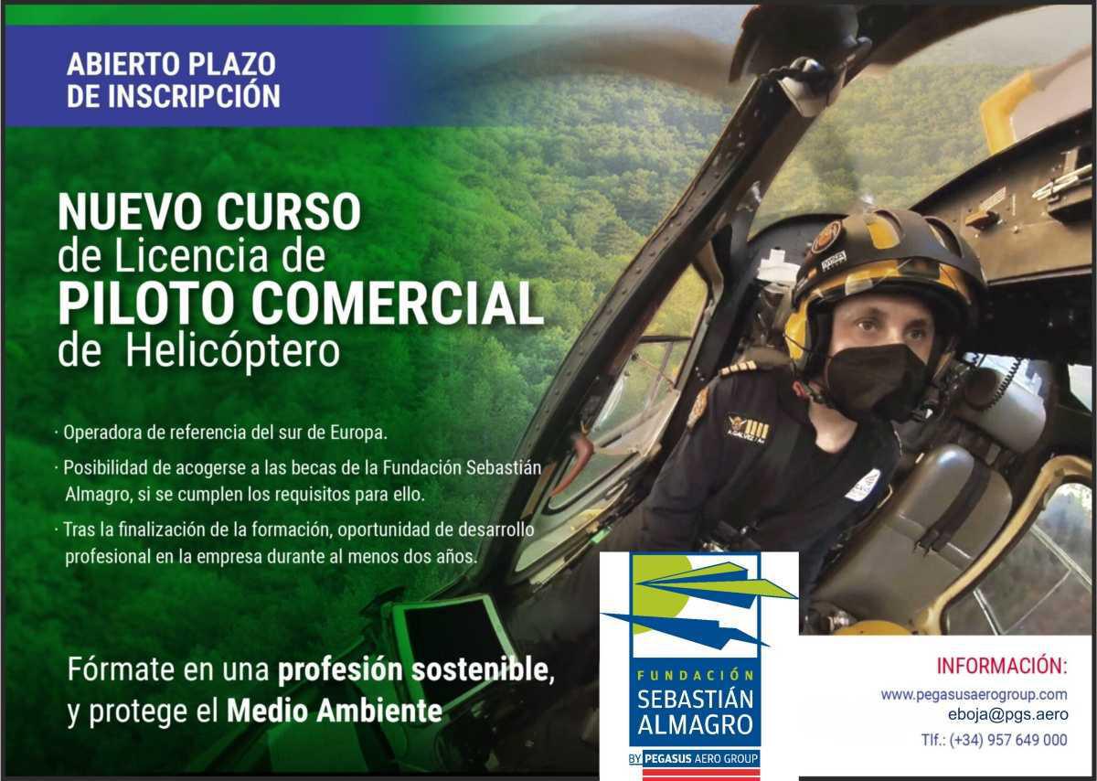 Pegasus Aero Group